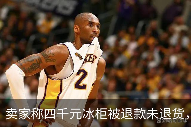 卖家称四千元冰柜被退款未退货,实地探访发现买家仍在使用 买家回应:冰柜未达到承诺温度